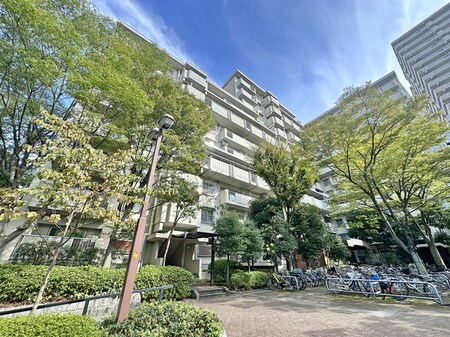 清新中央ハイツ1号棟（804）外観写真