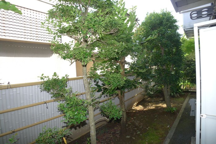 物件内観写真22　(室内からの展望)