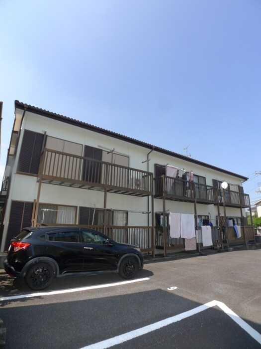 ドミ－ル愛のその他