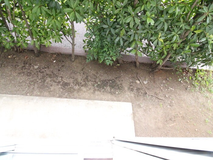 物件内観写真17　(居室)