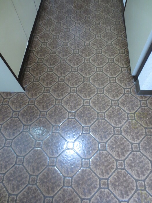 物件内観写真19　(廊下)