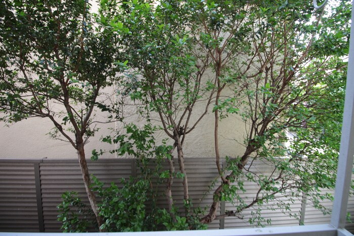 物件内観写真19　(室内からの展望)