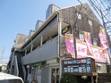 オールドシーダーズ