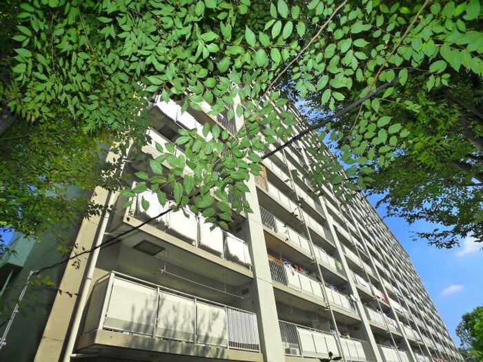 物件外観写真5　(外観写真)