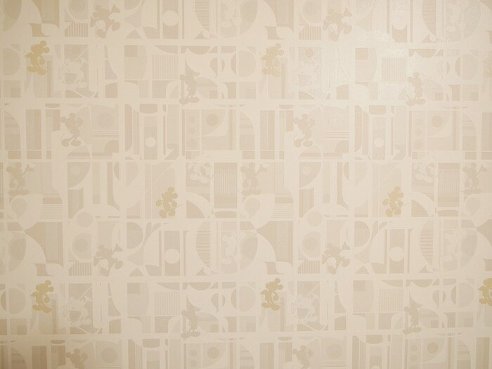 物件内観写真10　(廊下)