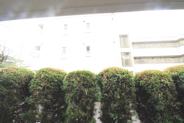 物件内観写真20　(室内からの展望)