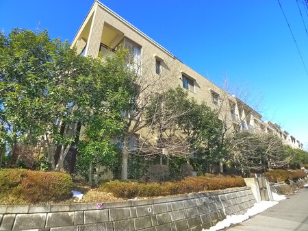 ﾚｸｾﾙﾌﾟﾗｯﾂｧ新八柱（332）外観写真