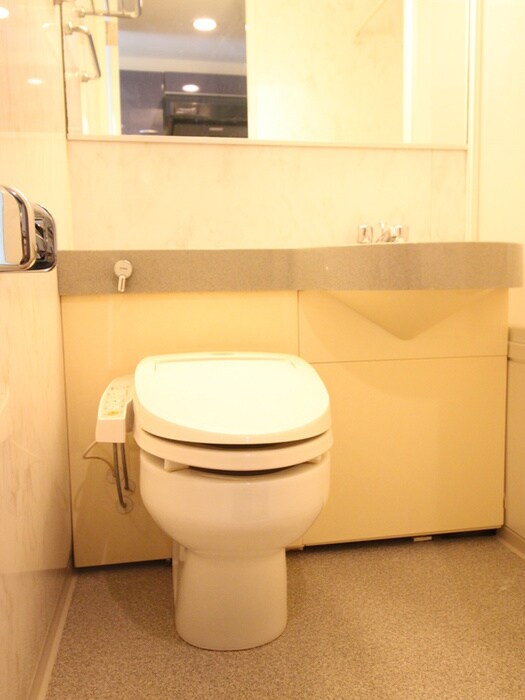 物件内観写真11　(トイレ)