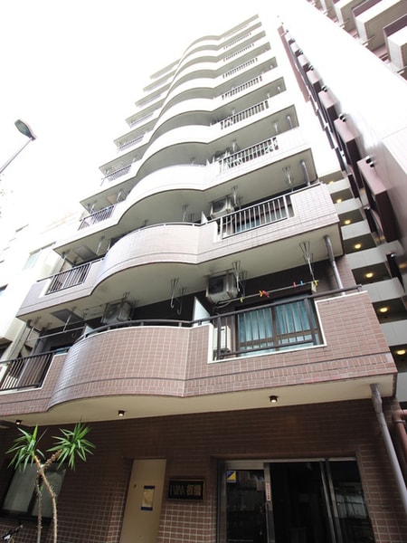 エルヴィーナ板橋(501)外観写真