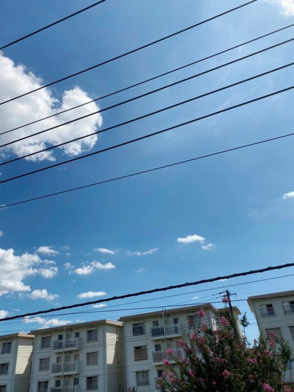 周辺環境