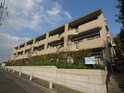 レヨン　森の台