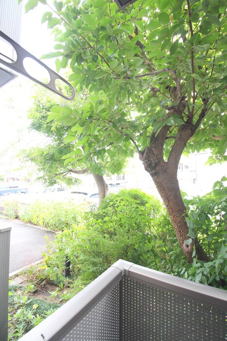 物件内観写真17　(室内からの展望)