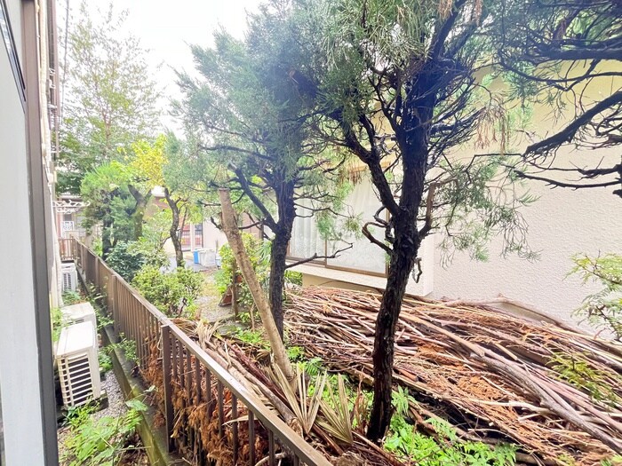 物件内観写真16　(室内からの展望)