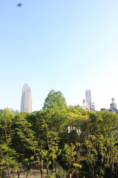 物件内観写真21　(室内からの展望)