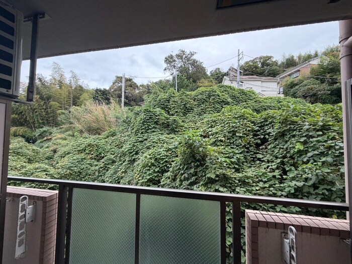 物件内観写真18　(室内からの展望)