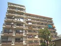 高島平サンパワー(502)