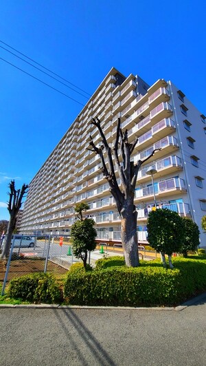 ソフィア上尾Ｂ棟(407)外観写真