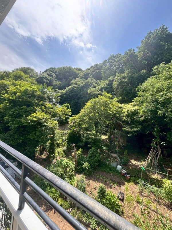 室内からの展望