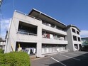 ビューハイムしまや