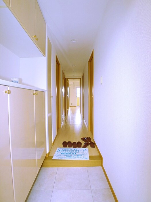 物件内観写真18　(靴箱)