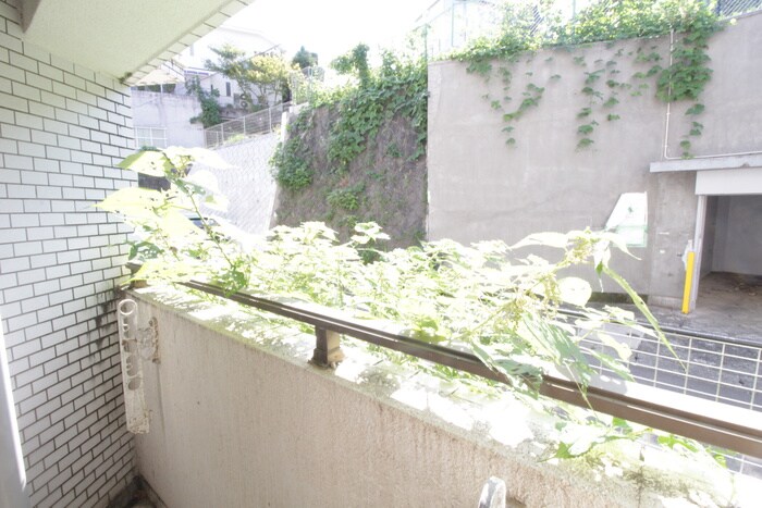 物件内観写真19　(室内からの展望)