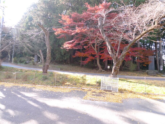 物件内観写真16　(室内からの展望)