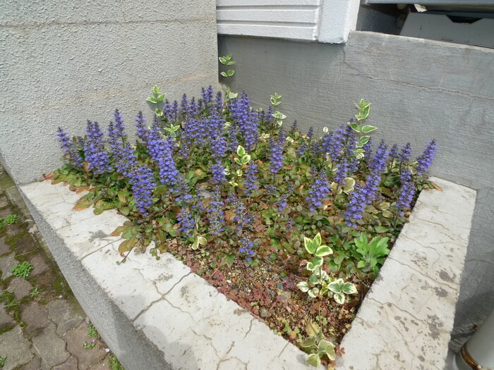 物件外観写真4　(その他)