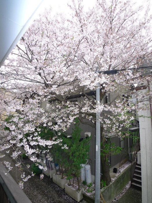 物件内観写真22　(室内からの展望)