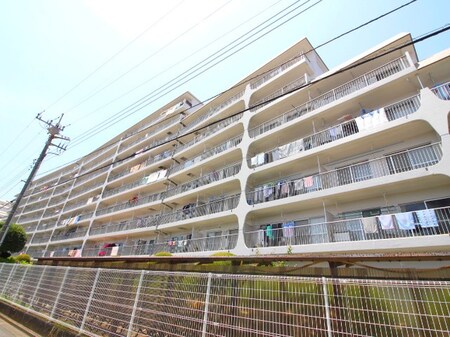 ウインザ－ハイム志木(810)外観写真