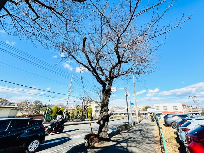 物件外観写真6　(周辺環境)