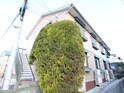 メゾンＳＡＫＵＲＡⅡ