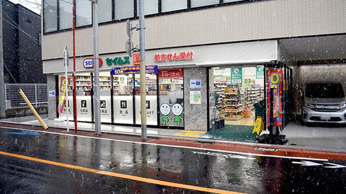 ドラッグセイムス大田北馬込店