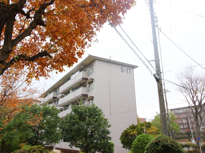 左近山団地6街区17号棟(403)