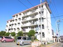 シブヤ本郷マンション