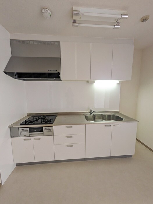 物件内観写真10　(キッチン)