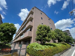 アミ浜田山外観写真