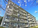 小金原団地５号棟（４０３）
