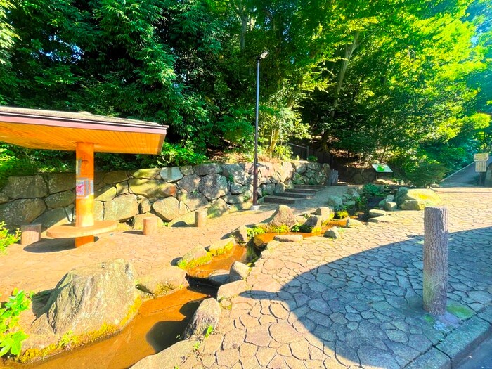 物件外観写真5　(周辺環境)