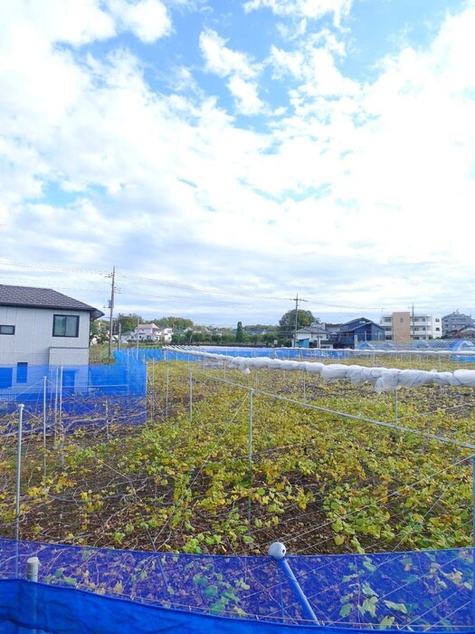 物件内観写真22　(室内からの展望)