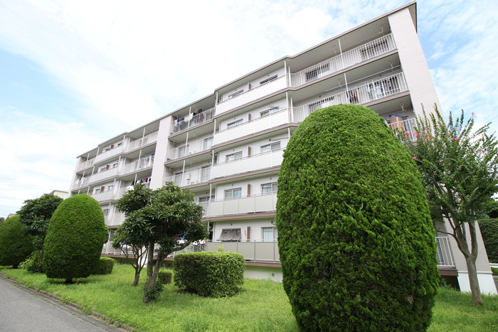 入間仏子団地９号棟(203)