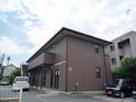 アンプルールブワ　スギ