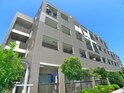 アゼリア南新木