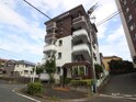 ﾌﾘｰﾋﾞﾝｸﾞ藤沢