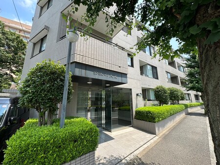 コプロスハイツ大蔵（204）外観写真