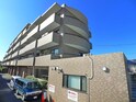 ﾗｲｵﾝｽﾞﾏﾝｼｮﾝ船橋三咲(103)