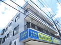 グレイスメジロ