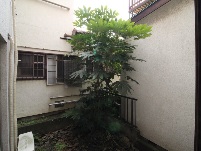 物件内観写真16　(室内からの展望)