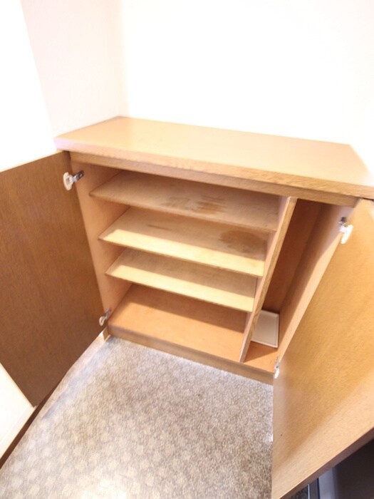 物件内観写真21　(靴箱)