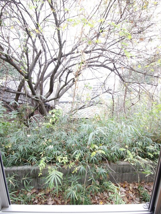 物件内観写真15　(室内からの展望)