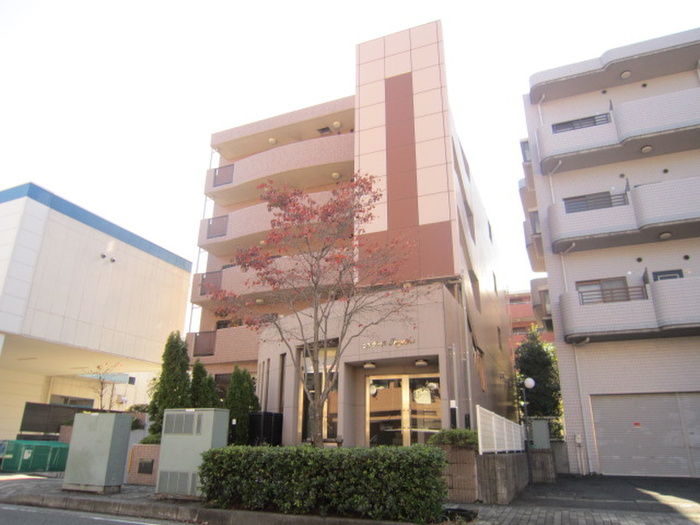セルテーヌＳＵＺＵＳＨＯ